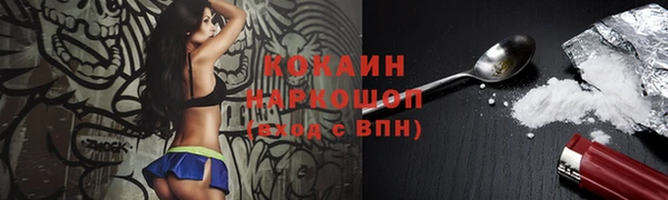 ПСИЛОЦИБИНОВЫЕ ГРИБЫ Медвежьегорск