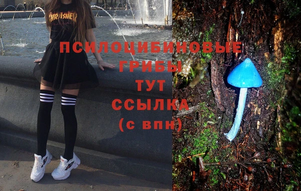 стафф Мегион