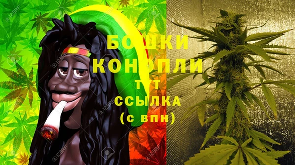 стафф Мегион