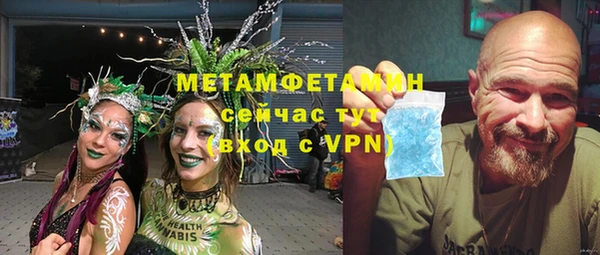 сатива Медногорск
