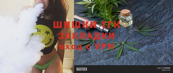 ПСИЛОЦИБИНОВЫЕ ГРИБЫ Медвежьегорск