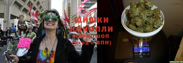 сатива Медногорск