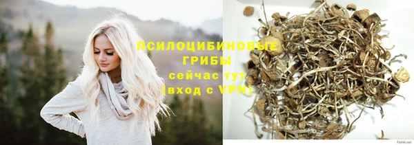 стафф Мегион
