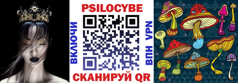 ссылка на мегу ссылка  Шахунья  Псилоцибиновые грибы GOLDEN TEACHER 